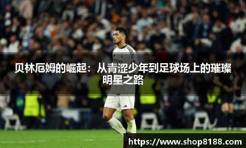 九游体育官网入口